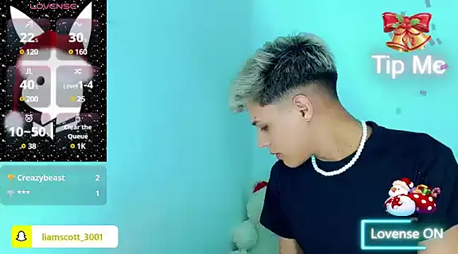 Liamscott  online show from 12.11.24