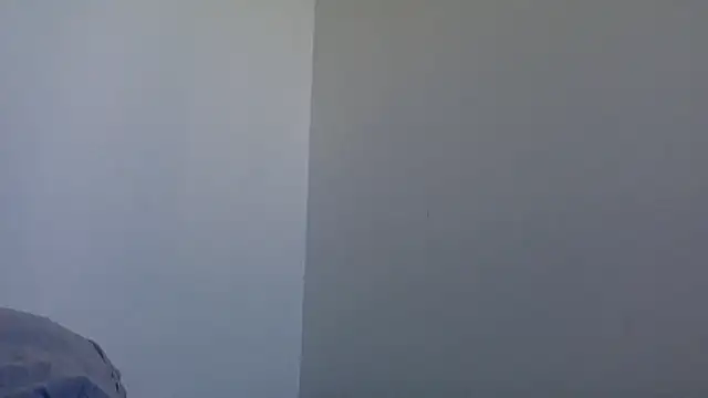 molozeb online show from 02.08.26