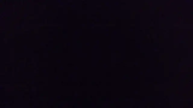 Snapshot of FISTCAMM chatting on 03.13.25 FISTCAMM online show from 03.13.25