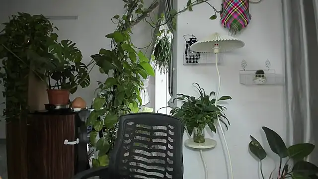 Oliver Nl online show from 11.19.25