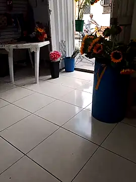 Snapshot of VivienAndClark chatting on 10.18.25 VivienAndClark online show from 10.18.25