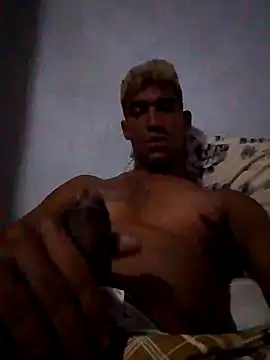 fieltoprj1 online show from 01.11.25