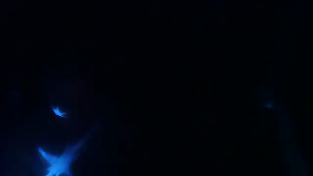 perversalus online show from 05.09.26