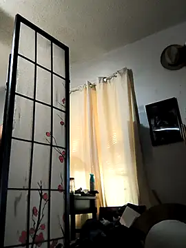 Snapshot of TexaSMESS_37 chatting on 11.03.25 TexaSMESS 37 online show from 11.03.25