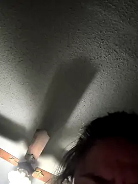 Snapshot of TexaSMESS_37 chatting on 01.19.26 TexaSMESS 37 online show from 01.19.26