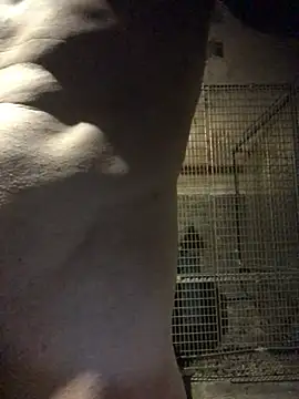 Josele1981 online show from 05.01.26