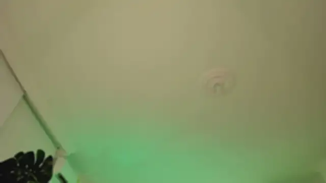 Taylor  foxxx online show from 03.06.25