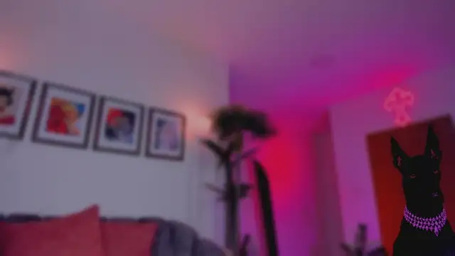 Taylor  foxxx online show from 11.14.25