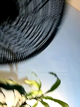  Miguel100 online show from 11.06.25