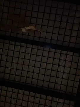 SexyB214 online show from 12.14.24