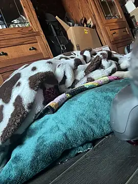 SexyB214 online show from 03.07.25