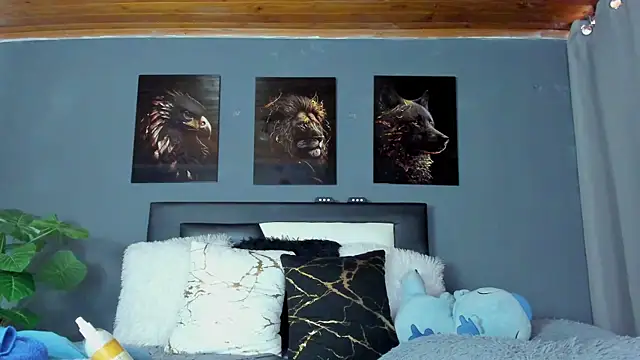 francesco evan online show from 11.14.25