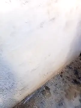 rau 4455 online show from 11.05.25