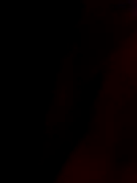 rau 4455 online show from 11.07.25