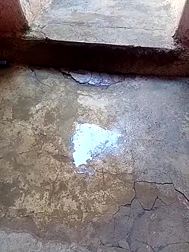 rau 4455 online show from 11.24.25