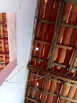 rau 4455 online show from 12.21.25