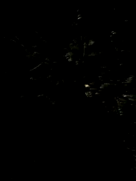 Hancoxx online show from 07.22.26
