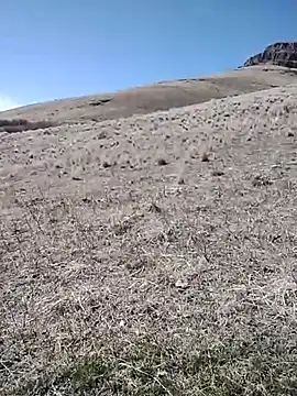 rockpimp online show from 03.09.26