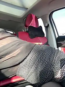  AHHA  online show from 02.27.25