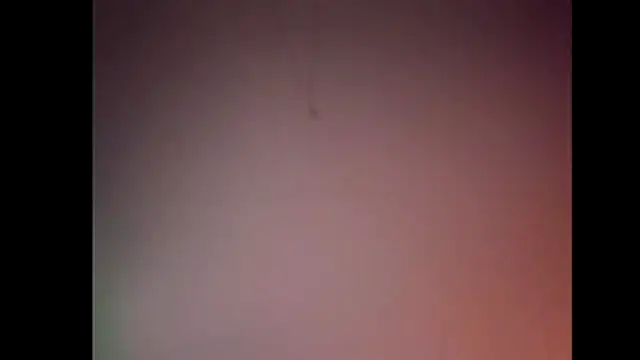 Pegg-fist-me online show from 11.28.25