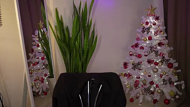 Snapshot of LindaWarners chatting on 12.21.24 LindaWarners online show from 12.21.24