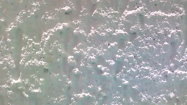 carolinesampaio online show from 03.13.25