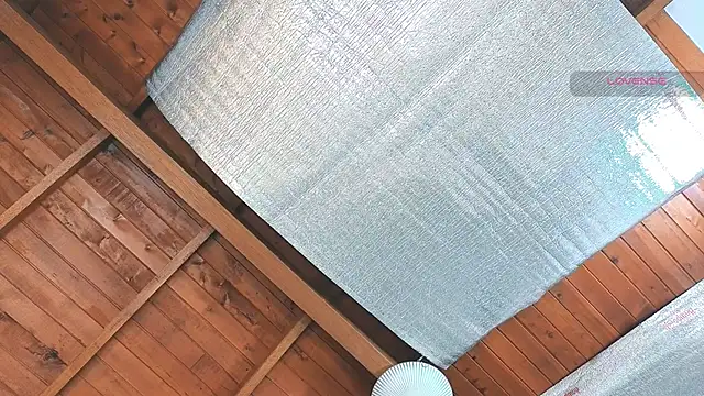 SilvaBranko online show from 03.16.26