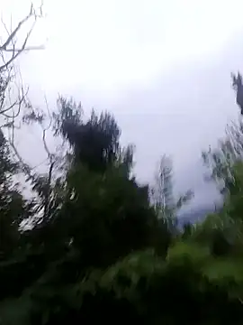 Snapshot of maleesa chatting on 10.01.25 maleesa online show from 10.01.25