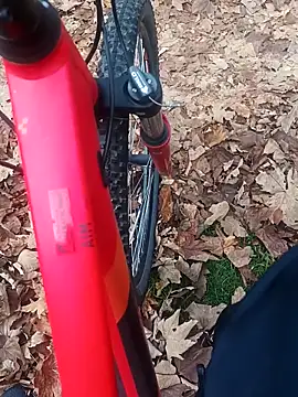 Snapshot of maleesa chatting on 11.02.25 maleesa online show from 11.02.25