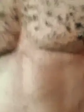 Bulletact online show from 02.02.26