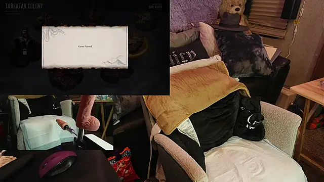 Snapshot of IndiaBlaze chatting on 11.05.25 IndiaBlaze online show from 11.05.25