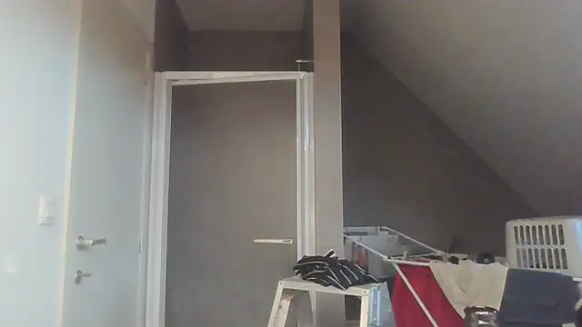 Vekie 007 online show from 07.17.26