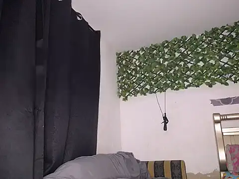 nedd master online show from 02.21.26