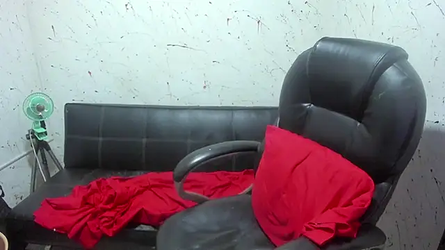  ace ventura online show from 02.15.26