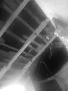 Snapshot of Jerryhottt chatting on 11.20.25 Jerryhottt online show from 11.20.25