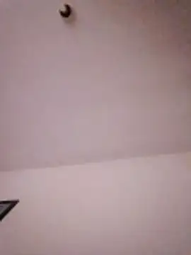 nbsc25 online show from 03.11.26