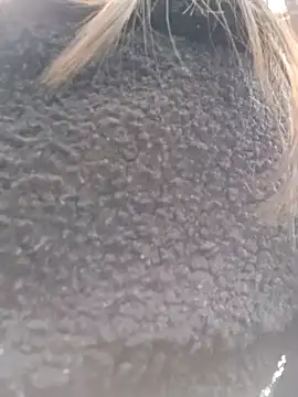 Violeta 12- online show from 03.18.25