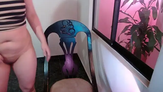 mailer parsonss online show from 01.07.26