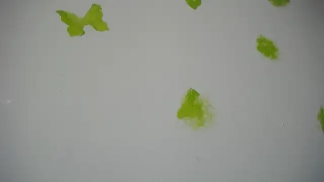 RACHELL  HOT online show from 09.30.25