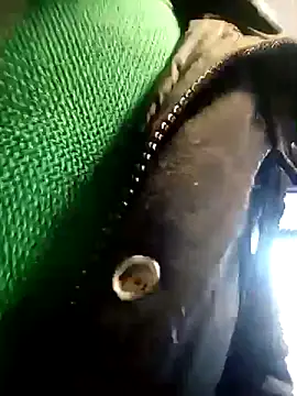 BZHsex online show from 03.09.25