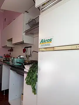 Sunbelxx online show from 11.04.25