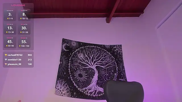 Snapshot of AramJoness chatting on 12.17.24 AramJoness online show from 12.17.24