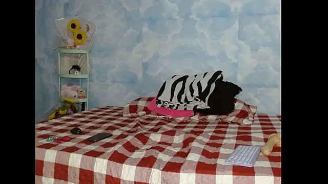 Snapshot of Valerii_Gil chatting on 02.19.26 Valerii Gil online show from 02.19.26