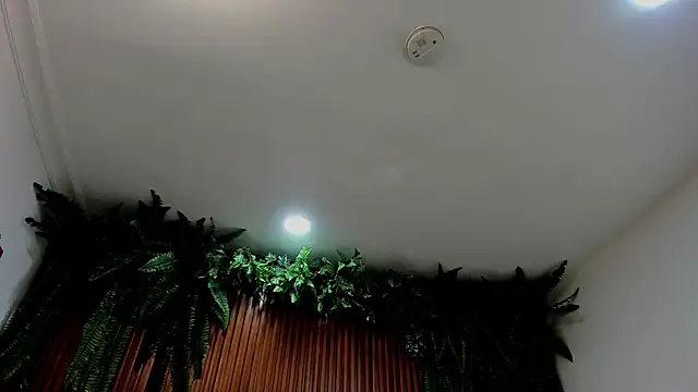 alice greco online show from 03.06.26