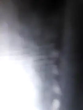 studboy1111 online show from 12.31.24