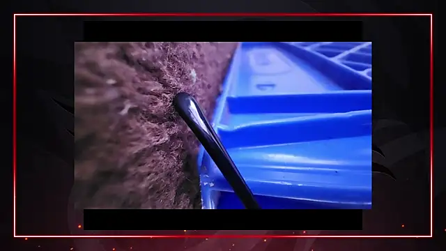 Snapshot of AriellaTaylor chatting on 12.11.24 AriellaTaylor online show from 12.11.24