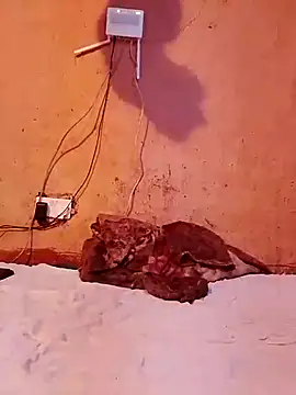 Snapshot of cute_naimah chatting on 12.05.25 cute naimah online show from 12.05.25