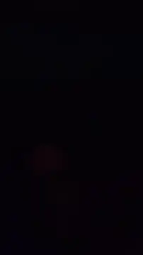 pachapeter online show from 10.04.25