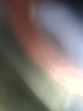 Snapshot of jasss-11 chatting on 11.04.25 jasss-11 online show from 11.04.25