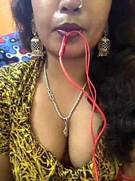 Snapshot of jasss-11 chatting on 11.12.25 jasss-11 online show from 11.12.25